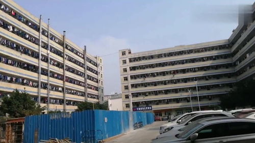 廣東深圳女兒國大廠,宿舍女工們密密麻麻都住滿了 這個廠太好了