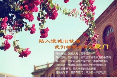 爸爸去哪3-廈門云水謠雙飛4日親子游(半自由行)