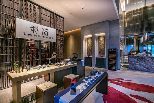 去廈門可以不去鼓浪嶼,但是可以去住一住它